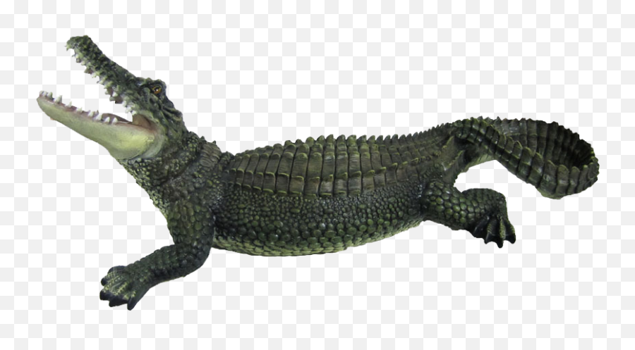 27 Crocodile Png Images Are Free To - Crocodile Png,Croc Png