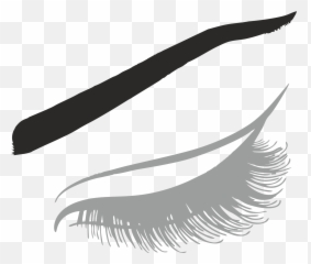 Eyelash Lash Png Images Free Download - Portable Network Graphics,Eyelash Png