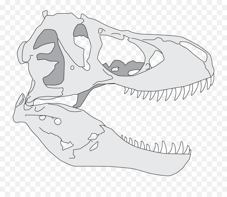 29 Drawn Dinosaur Skull Free Clip Art Png