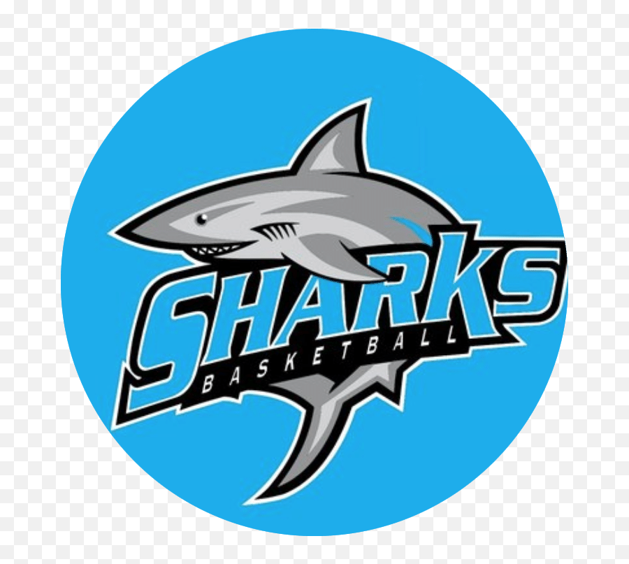 Program Preview Sharks Basketball Prep Hoops Png