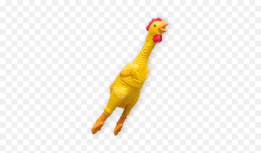 How To Get Rubber Chicken Finger Puppet - Rubber Chicken Png,Rubber Chicken Png