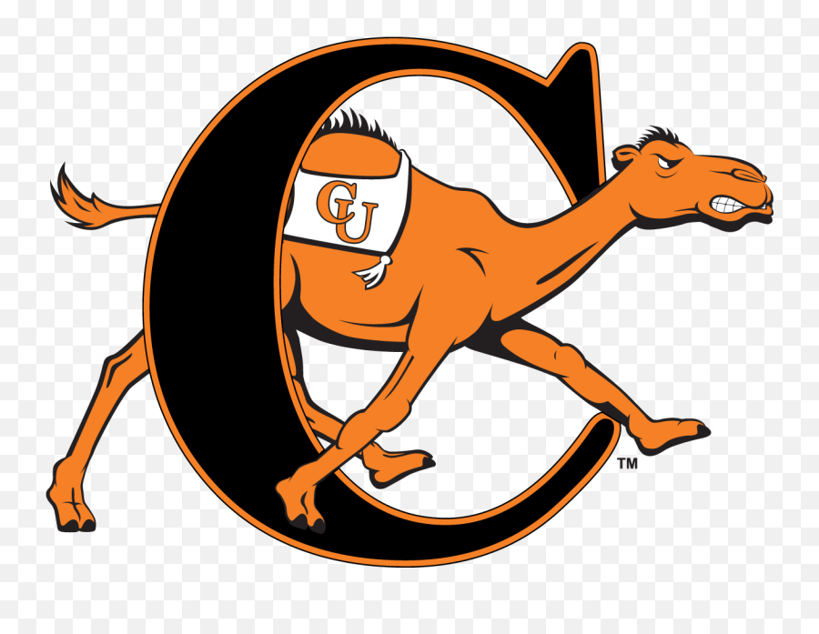 About U2014 Chris Frezza Creative - Campbell Camels Logo Png,Cartoon University Icon