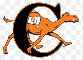 About U2014 Chris Frezza Creative - Campbell Camels Logo Png,Cartoon University Icon