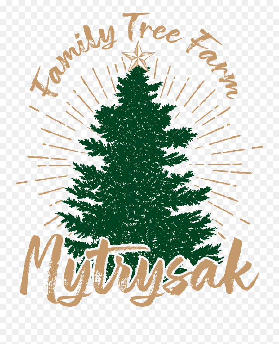 Mytrysak Family Tree Farm - Logo Christmas Tree Png,Pine Tree Logo