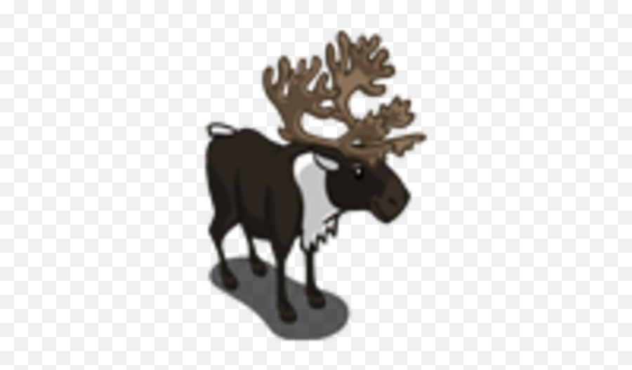 Black Caribou - Reindeer Png,Caribou Png