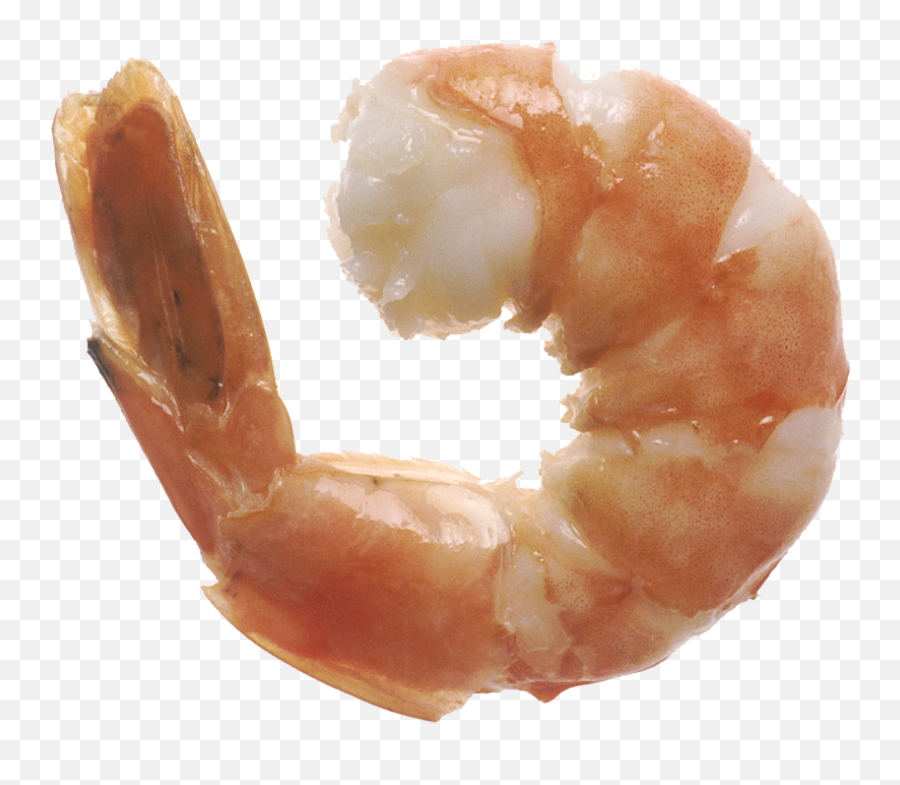 Spinning Shrimp - 1 Shrimp Png,Shrimp Png