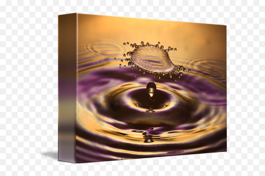 Flying Purple - Gold Splash By Chris Cupit Drop Png,Gold Splash Png