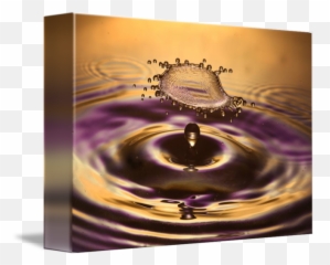 Flying Purple - Gold Splash by Chris Cupit Drop png