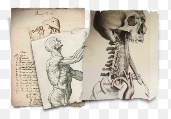 Inkle - Frankenstein Victor Frankenstein Journal Png,Frankenstein Png
