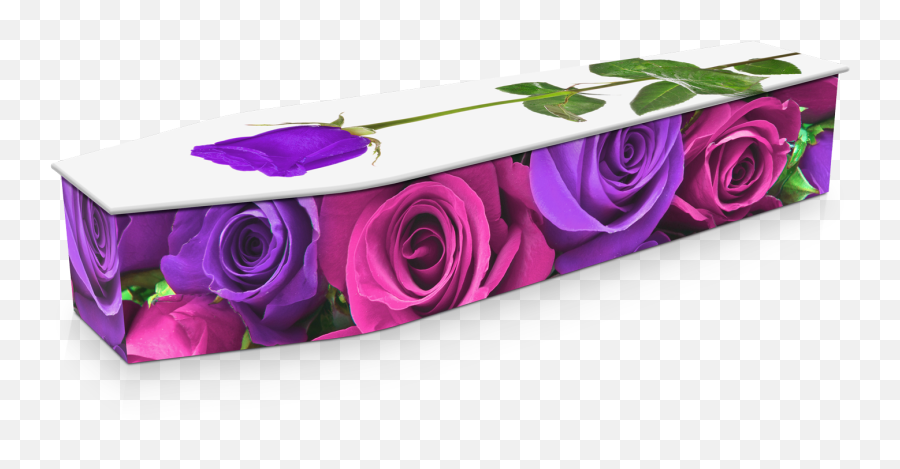 Pink U0026 Purple Roses Custom Coffin Design Expression Coffins - Coffin Png,Purple Rose Png