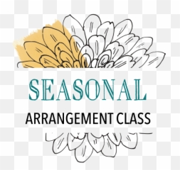 Aranj - Learn to Floral Design png