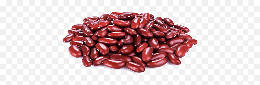 Kidney Beans Transparent Background Png - Transparent Kidney Beans Png,Beans Transparent