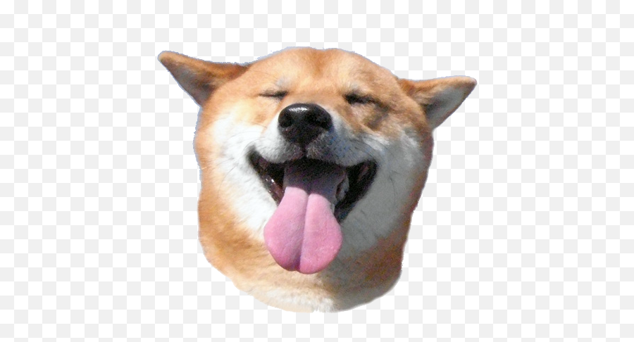 Download Free Png Update Dogecoin Transparent Archive - Shiba Inu Smile,Dogecoin Png