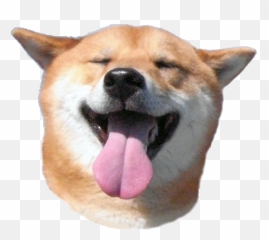 Download Free Png Update Dogecoin Transparent Archive - Shiba Inu Smile,Dogecoin Png