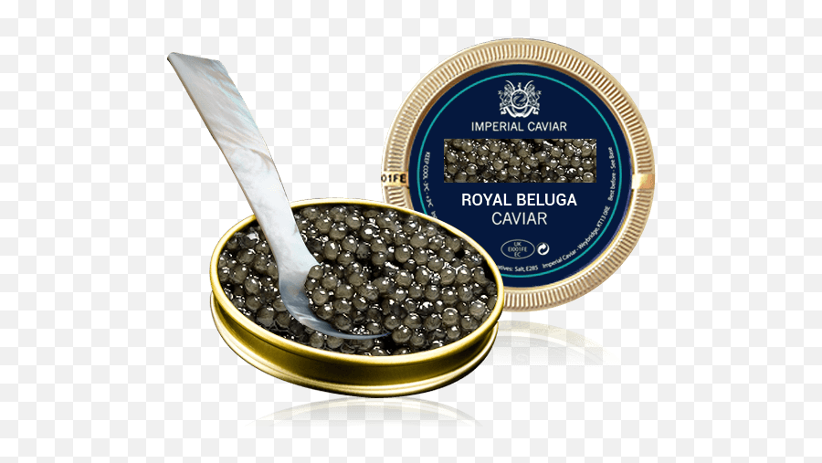 Download Beluga Caviar - Caviar Png,Caviar Png