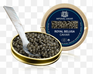 Download Beluga Caviar - Caviar Png,Caviar Png