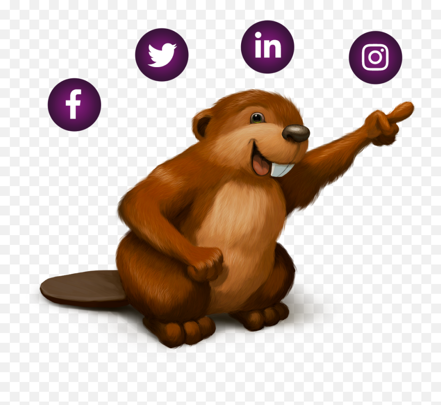 The Acopian Beaver Story Power Supplies - Small Email Signature Facebook Icon Png,Beaver Transparent