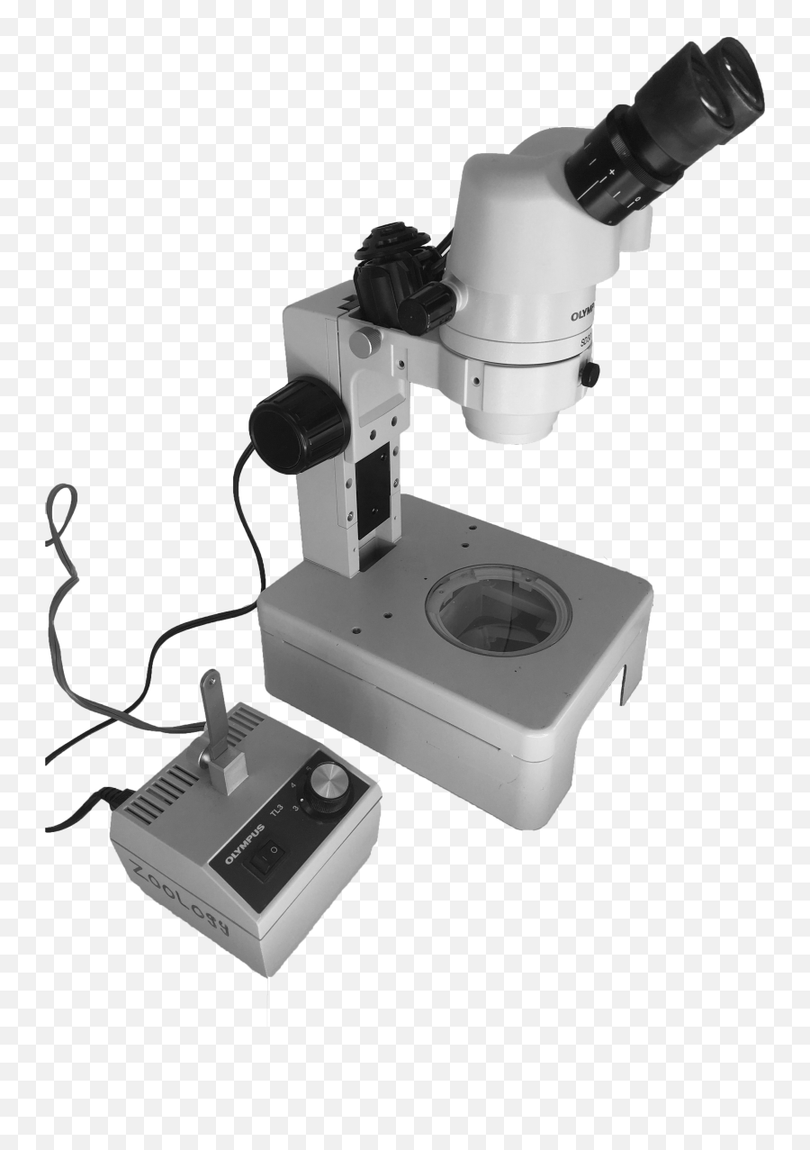 Dissecting Microscope And Light - Light Source On A Dissecting Microscope Png,Microscope Png