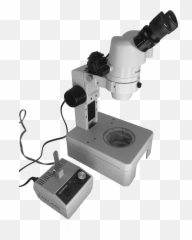 Dissecting Microscope And Light - Light Source On A Dissecting Microscope Png,Microscope Png
