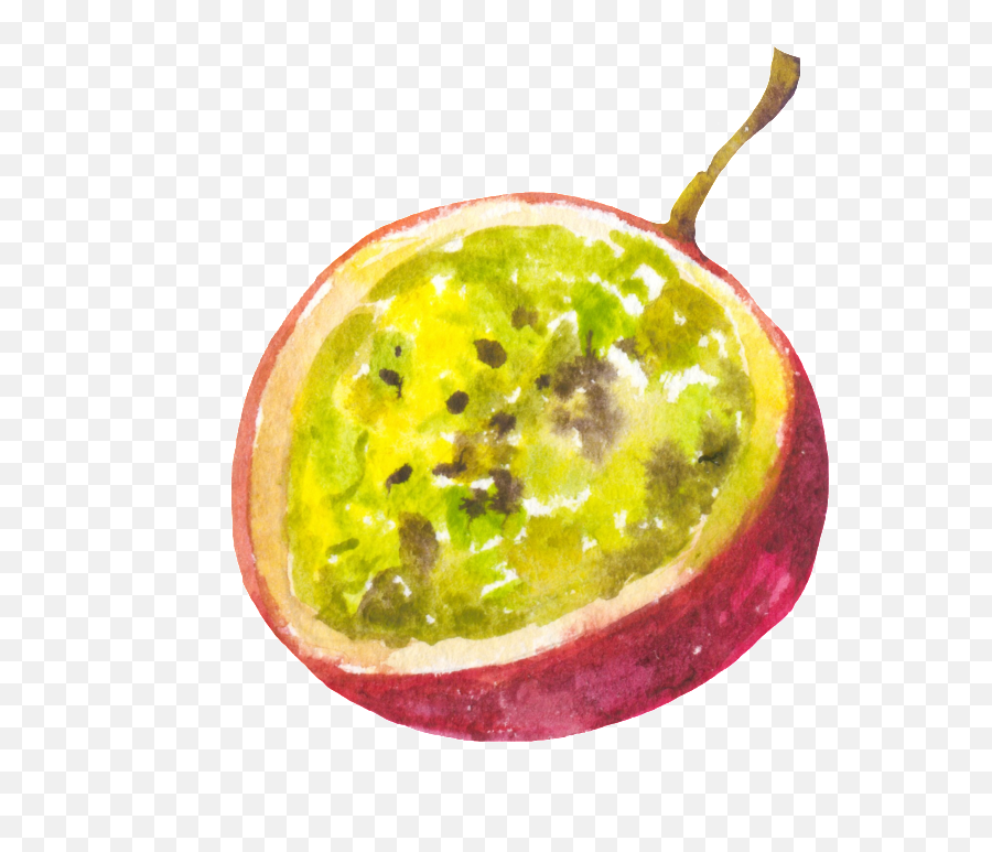 Download Hand Painted Cut Passion Fruit - Sweet Granadilla Png,Passion Fruit Png