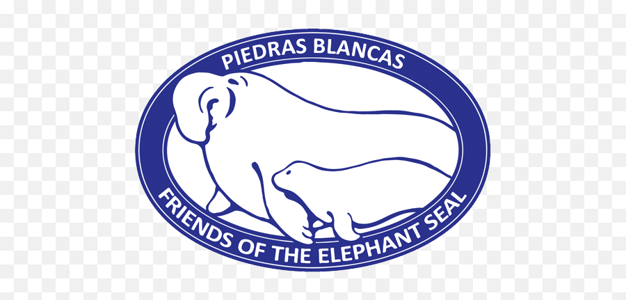 Friends Of The Elephant Seal Piedras Blancas Northern - Big Png,Find My Friends Icon