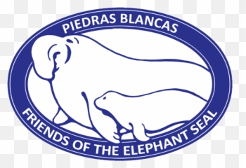 Friends Of The Elephant Seal Piedras Blancas Northern - Big png