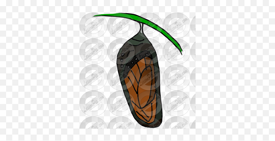 Chrysalis Picture For Classroom - Vertical Png,Chrysalis Icon