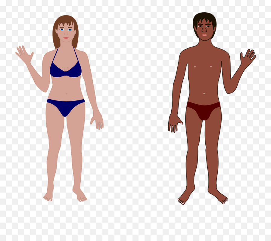 Download Hd People Clipart Bathing Suit - People Who Are Both Genders Png,People Swimming Png