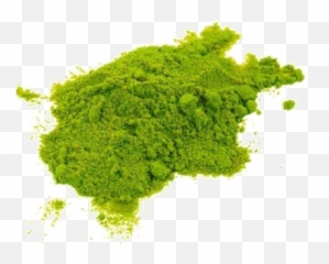 Holi Color Png Photos Mart Algae
