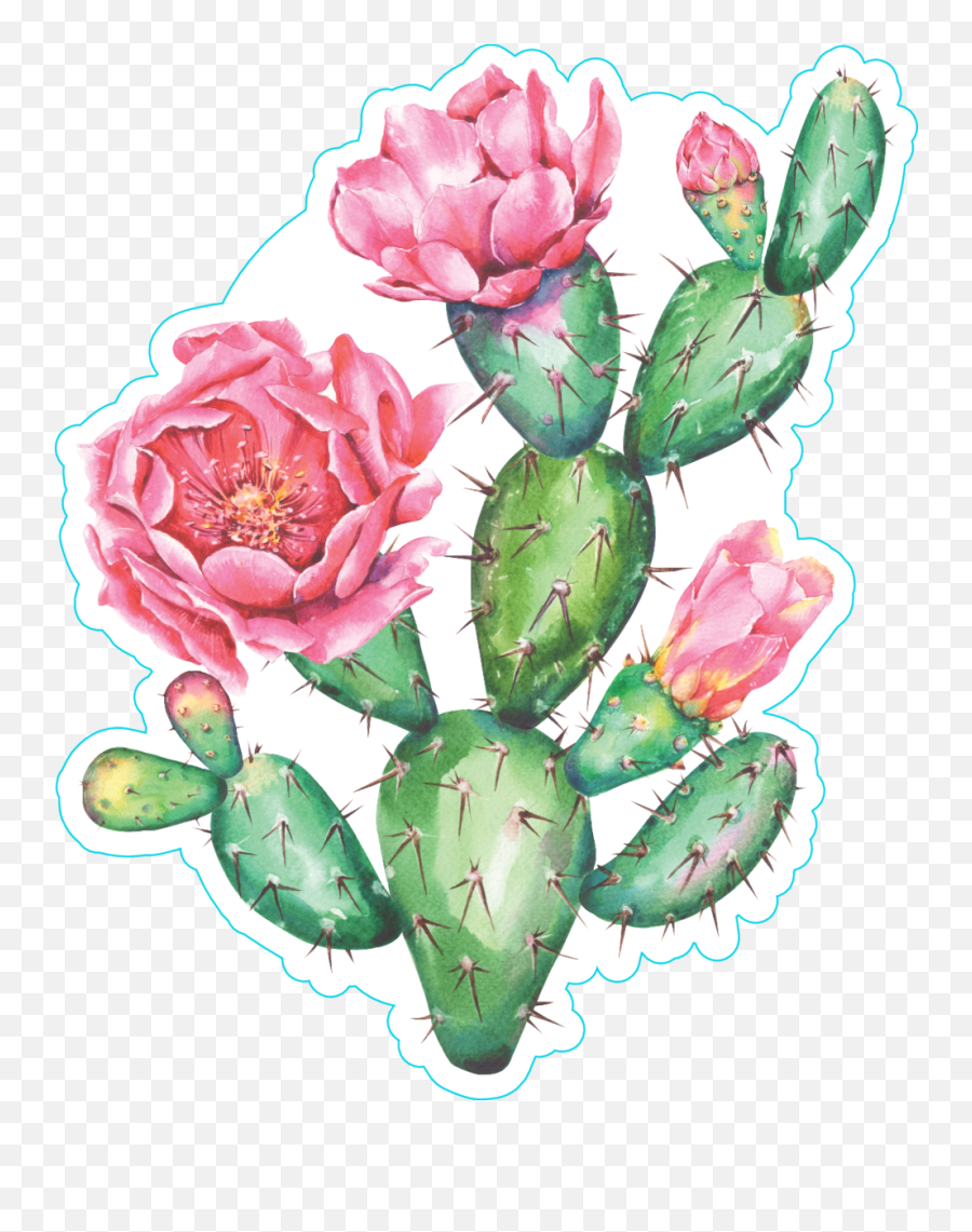 Watercolor Cactus With Beautiful Pink - Watercolor Prickly Pear Cactus  Png,Watercolor Cactus Png - free transparent png images 