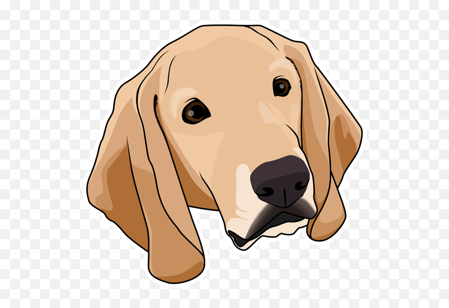 Faq Pawgress Dog Training - Segugio Italiano Png,Labrador Icon
