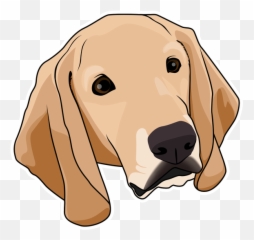 Faq Pawgress Dog Training - Segugio Italiano png