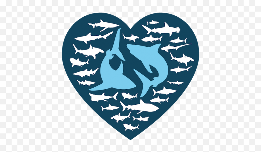 I Love Sharks Selfie Challenge Save Our Nl - Shark Love Sharks Png,Sharks Png