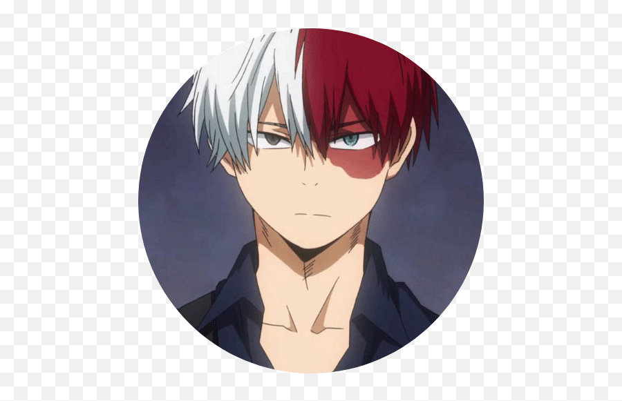 My Hero Academia Merch Todoroki New Release 2022 - Fictional Character Png,Boku No Hero Icon