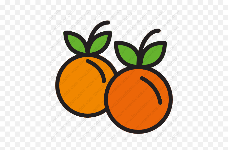Download Thanksgiving Celebration Festival Fruit Vector Icon - Fresh Png,Fruit Icon
