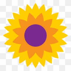Our Blog - Pilgrims Hospice png