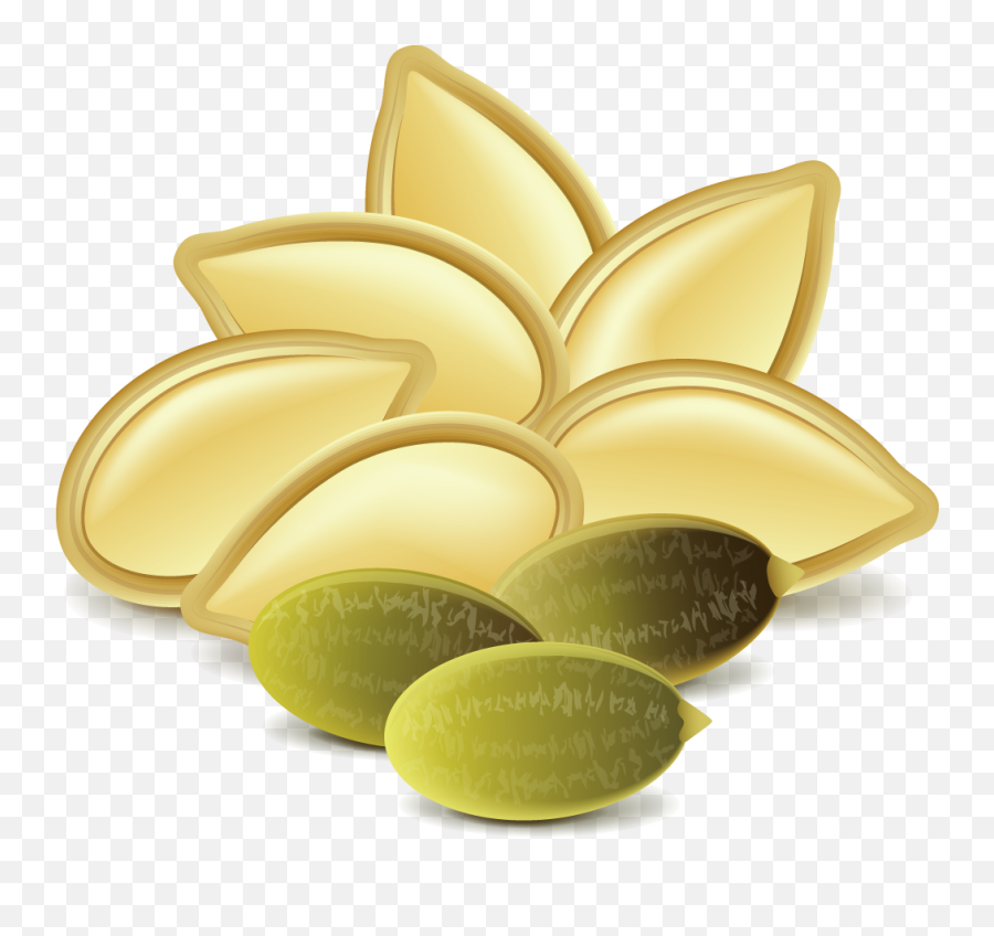 Library Of Pumpkin Seeds Svg Png Files - Pumpkin Seed Clipart,Seed Png