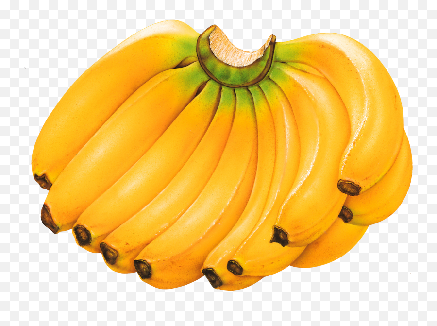 Transparent Bananas Png Images Free Pictures Banana - Free Banana Images Of Fruits,Fruit Png Images