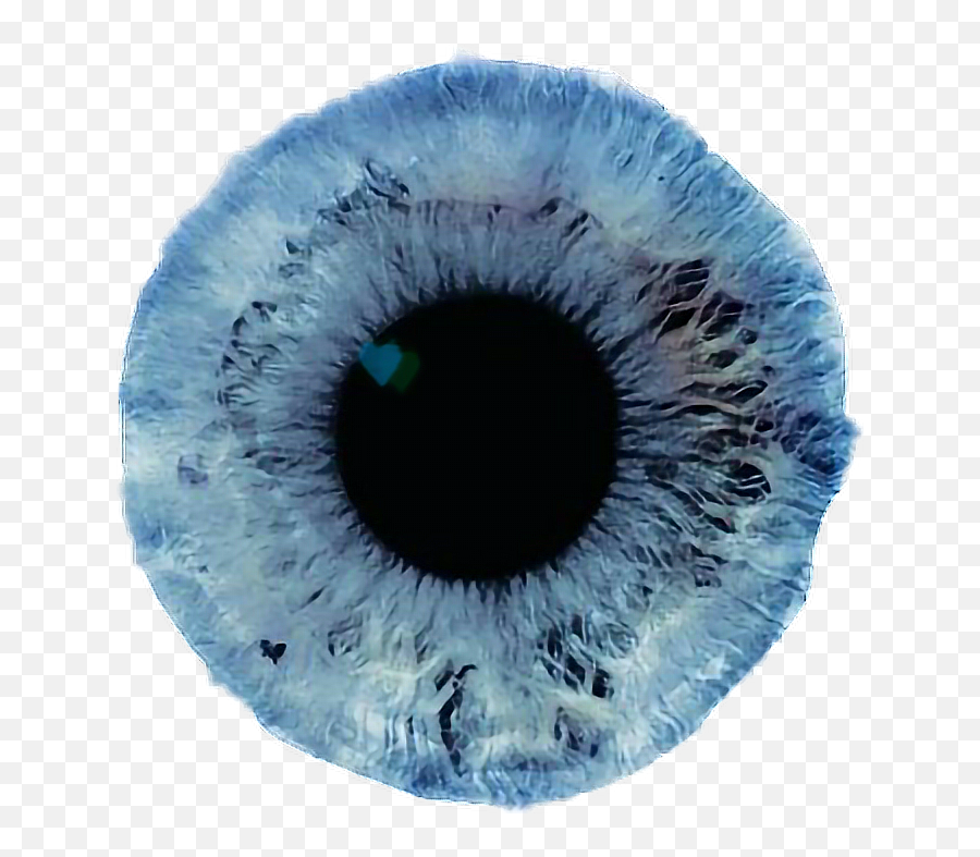 Eye Iris Eyeball Blue Blueeye Remixme - Transparent Eye Color Png,Realistic Eye Png