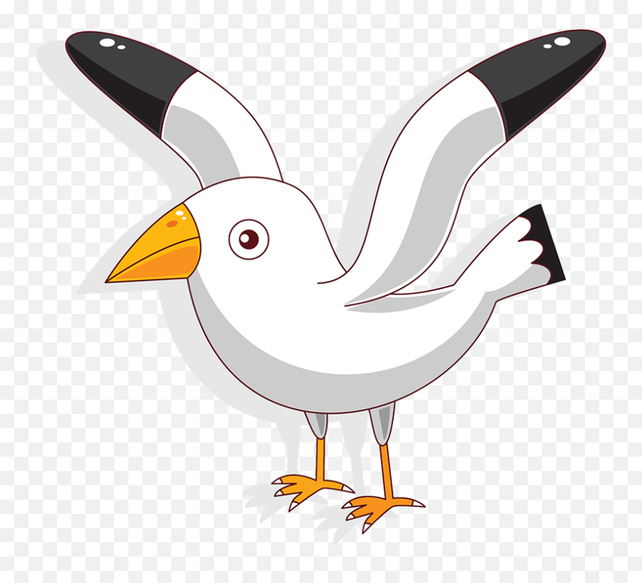 Seagull Illustration Png Picture 830953 - Dibujos De Animales Con Plumas,Seagulls Png