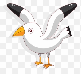 Seagull Illustration Png Picture 830953 - Dibujos De Animales Con Plumas,Seagulls Png