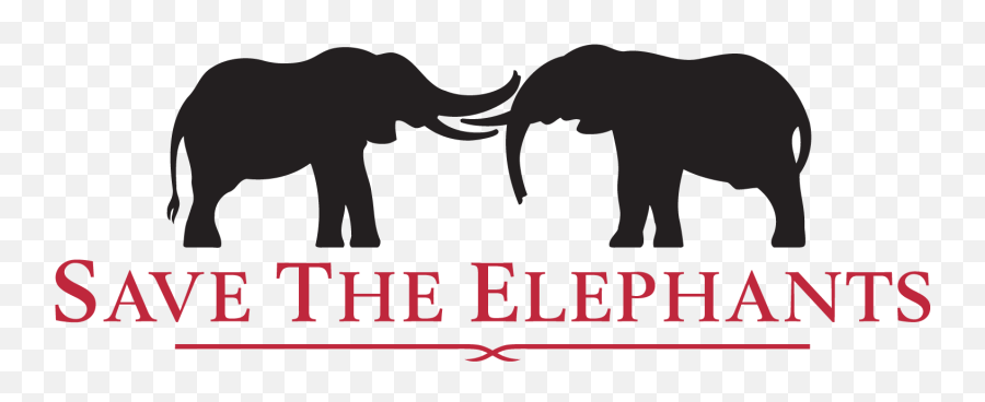 Founding Partners Elephant Crisis Fund - Save The African Elephants Png,Leonardo Dicaprio Png