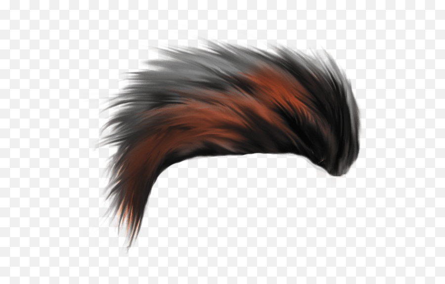 Download Zip Archive - Roblox Png Hair Boy, Transparent Png