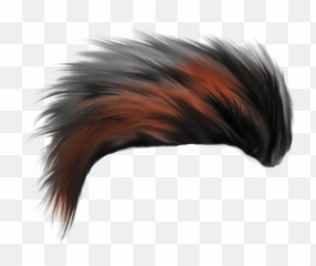 Top 20 Cb Hair Png Zip File Download