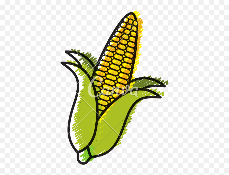 Corn Cob Doodle - Icons By Canva Illustration Png,Corn Cob Png