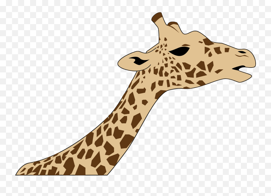 Transparent Giraffe Head Hd - Giraffe Head And Neck Easy Drawing Png,Neck Png