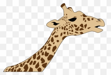 Transparent Giraffe Head Hd - And Neck Easy Drawing png