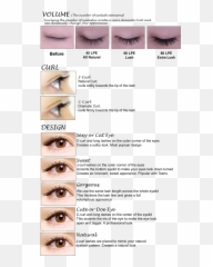 Download Pixel Lashes Png - Design Full Size PNG Curl Eyelash Extension