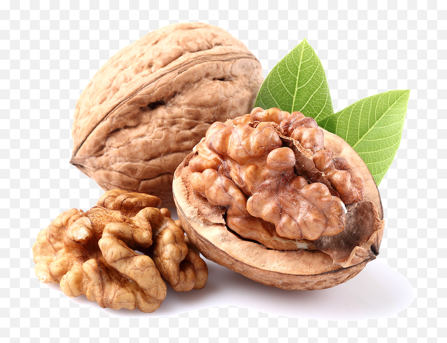 Download Pacific Nut Producer Magazine - Imagen De Nuez Png,Nut Png