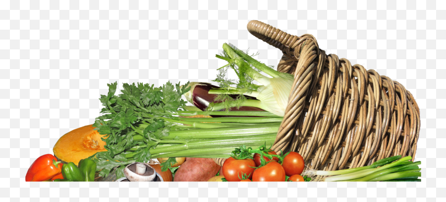 Ingredient Plant Vegetarian Food Png - Basket Of Vegetables Png,Diet Png